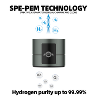 Bouteille d'eau hydrogénée domestique du fabricant d'origine, électrolyse de l'eau SPE PEM avec absorption d'hydrogène, bouteille d'eau hydrogénée