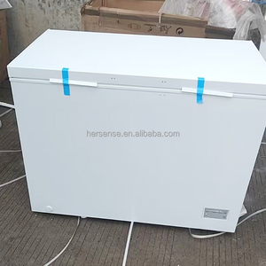 Top Door Steel Plate <b>Small</b> Commercial Household Hotel Ice Freezer 287L <b>Chest</b> Freezer Top Loading White Freezer <b>Chest</b> Freez - Product Image 2