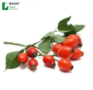 Directo al por mayor Extracto de rosa mosqueta en polvo Vitamina C Herbal Fruit HPLC Alimentos probados Cultivado salvaje Botellas disponibles Tambores 1kg - Product Image 2