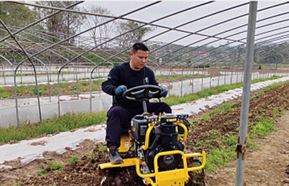 محراث دوار صغير يعمل بالديزل أحادي الأسطوانة مبرد بالهواء، يجر بالركوب، يغطي مساحة 1-1.6 فدان/ساعة، للاستخدام الشاق في التربة الصلبة والزراعة واسعة النطاق، بعمق 15-20 سم - Product Image 4