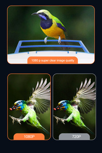 Comedero para pájaros al aire libre con cámara pájaro visión remota AI alimentador <span class=keywords><strong>de</strong></span> pájaros captura fotos videos jardín alimentador <span class=keywords><strong>de</strong></span> pájaros inteligente - Product Image 6