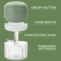 Nieuwe Product Ideeën 2026 Fruit&Groente Gereedschap 250ml Mini USB Elektrische Knoflookhakker Voedselhakker Snijder Met USB Kabel