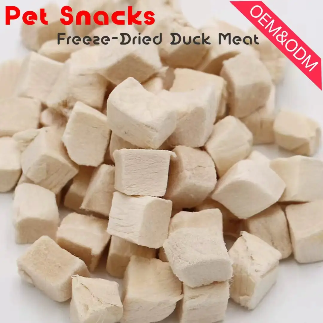 Freeze Dried Dog Cat Food Factory Freeze-dried Chicken Pet Food Pet Supplies Pet Food Bowl
