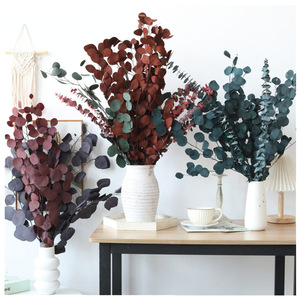 Hojas <span class=keywords><strong>de</strong></span> Eucalipto Plateado Preservadas al por Mayor, Ramillete <span class=keywords><strong>de</strong></span> 70 cm para Decoración del Hogar en Halloween y Graduación - Product Image 2