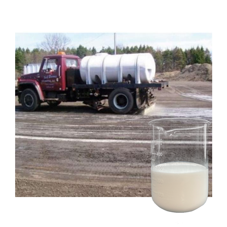 Best Selling Custom Liquid Pool Algaecide