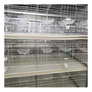 <span class=keywords><strong>Cage</strong></span> d'élevage de pigeons fabriquée en usine avec mangeoire et abreuvoir - Product Image 5
