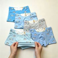 Caleçons Boxers en Coton pour Tout-Petits Garçons, Motif Avion Adorable, Doux, Respirant, Écologique, Anti-Bactérien, Thermique, Sous-vêtements Élastiques pour Enfants