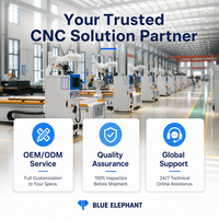 Scie à pression CNC professionnelle avec capacité de rainurage à profondeur variable et logiciel d'optimisation pour la production en série