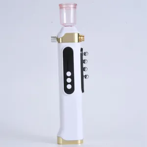Wholesale Usb Electric Portable Ultrasonic Ozone Steamer Facial Sprayer Nano Mister