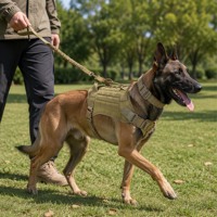 Harnais tactique pour chien et laisse élastique avec poignée de contrôle rembourrée, gilet en nylon réglable, boucle en alliage de zinc et anneau en D