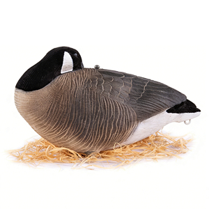 Señuelos de Caza de Gansos Artificiales, Duraderos, Impermeables, Ecológicos, de EVA, Modelo de Simulación, Caja de Señuelos de Gansos Flotantes - Product Image 3