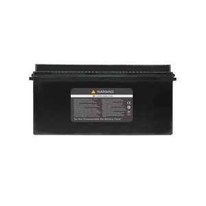 Batería de Litio Recargable de Ciclo Profundo Personalizada de 24v 24 Voltios 100ah 120ah 200ah para Almacenamiento de Energía Solar - Product Image 6