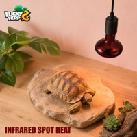 LuckyHerp Lampe Chauffante Classique Ronde Rétractable en Verre Rouge 100W pour Reptiles
