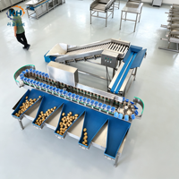 Industriële doos-aardappelgewichtsgrader voor diepvriesgroentefabriek met hefelevator en video-uitgaande inspectie