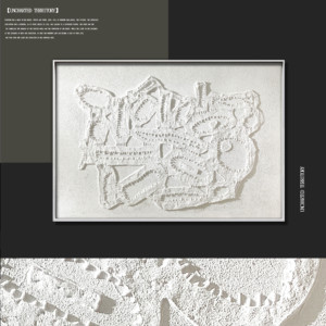 2025 Bán Buôn Tùy Chỉnh Tường Trừu Tượng Nghệ Thuật Wabi Sabi Khách Sạn Tường Nghệ Thuật 100% Handmade 3D Kết Cấu Thạch Cao Sơn - Product Image 5