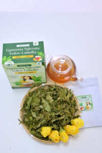 Gymnema Sylvestre with Yellow Camellia Herbal <b>Tea</b> Bags Premium Cold-Dried Process Vietnamese for Vitality Wholesale - Product Image 5