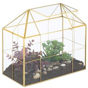 Mini serre créative en verre pour plantes, boîte de propagation pour plantes succulentes, terrarium miniature en <span class=keywords><strong>bouteille</strong></span> pour micro-paysages et mousse - Product Image 1