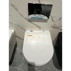 <span class=keywords><strong>WC</strong></span> <span class=keywords><strong>suspendu</strong></span> sans bride mural - Product Image 2
