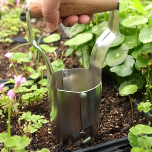 Outil de transplantation de graines en acier inoxydable avec manche en bois pour mini-potager de fraises et légumes - Product Image 1
