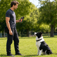 Collier de dressage pour chien avec télécommande, bip, vibration, choc, anti-élan, rechargeable, pour chiens de petite, moyenne et grande taille