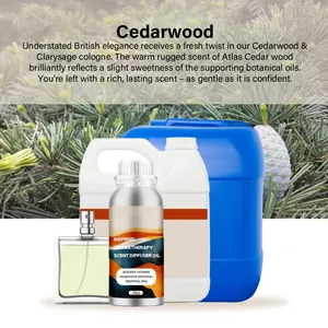 Dubai konsentrat terkenal parfum minyak Arab desainer minyak parfum Dubai Cedarwood parfum aroma minyak tahan lama