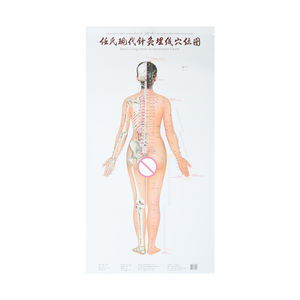 Carte murale moderne des points d'<span class=keywords><strong>acupuncture</strong></span> et des méridiens de Ren, diagramme des points d'<span class=keywords><strong>acupuncture</strong></span> et de l'<span class=keywords><strong>acupuncture</strong></span> corporelle - Product Image 2