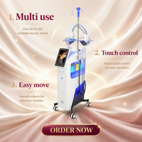 Appareil professionnel électrique 11-en-1 pour le nettoyage de la peau, le soin oxygénant du visage, le rajeunissement et le traitement de l'acné, usage domestique, 1200W, en plastique, pour spa