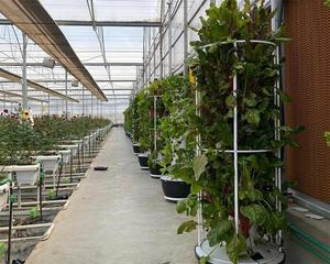 Tour hydroponique verticale pour plantation de légumes Système de culture de tour hydroponique intelligente à effet de serre - Product Image 5