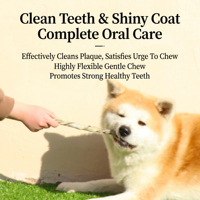 Bâtonnets de peau de morue lyophilisée pour chiens - Friandise dentaire naturelle à base de poisson, riche en oméga-3, pour des dents saines
