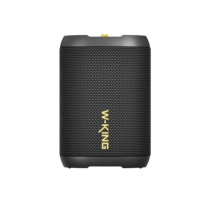W-King D110 Enceinte sans fil 15W, enceinte portable, mini enceinte avec lumières RGB, étanche IPX7, TWS, TF/AUX