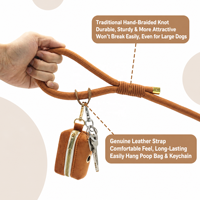 Ensemble collier et laisse pour animaux de compagnie en velours couleur unie avec nœud papillon et porte-sac à déjections, accessoires réglables gravés pour chiens et chats pour les sorties