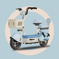 Adulte abordable Mini vélo électrique 2 roues Scooter électrique à vendre