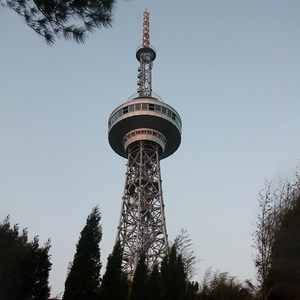 Shenghong thép mạ kẽm lookout & Quan sát tháp Viễn Thông 30m Chiều cao GB/ANSI/TIA-222-G tiêu chuẩn 50 năm tuổi thọ - Product Image 2