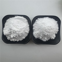 Sílice Pirogénica Hidrófoba Industrial de Alta Pureza, Dióxido de Silicio Modificado Superficialmente, Agente Antiaglomerante en Polvo Nano para Resina Selladora
