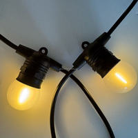 Guirlandes lumineuses suspendues d'extérieur G45 givrées, lampe amovible E27, étanches IP65, approuvées CE ROHS UKCA