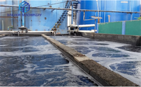 Système de traitement de l'eau à bas prix de l'usine chinoise BLX, machine de recyclage des déchets