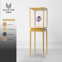 Vitrines en verre durables et abordables MASTER à vendre – Vitrine haute à cadre doré avec serrure pour magasins de luxe et de bijouterie