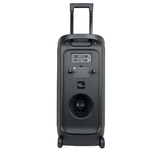 Haut-parleur Karaoké Rechargeable Double 10 Pouces 60W Prix Usine avec Micro et Écho, Utilisation Extérieure, Prise en Charge Carte TF pour KTV Domestique et Fêtes - Product Image 4