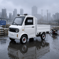 Camionnette électrique à 4 roues, 2 portes, 2 places, mini camionnette électrique, véhicule à énergie nouvelle, camion de fret, vente directe d'usine