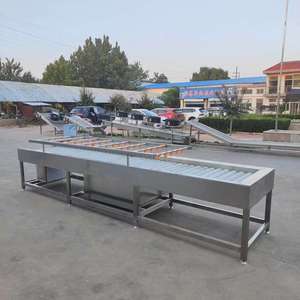 Machine à laver les fruits et légumes robuste et professionnelle de 800 kg/h pour les cultures souterraines - Product Image 2