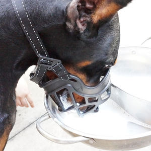 工場OEM ODMは犬の銃口をさまざまなサイズで保護します - Product Image 5