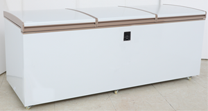 Réfrigérateur à porte simple et double Pusen, équipement de cuisine <span class=keywords><strong>d</strong></span>'<span class=keywords><strong>occasion</strong></span>, 236L-890L, congélateur horizontal pour viande congelée de supermarché - Product Image 4