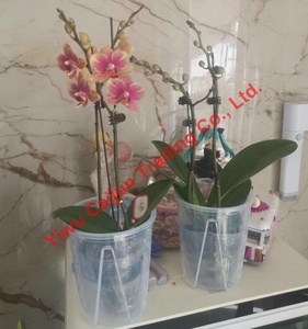 Bán Buôn 2024 New Vòng Rõ Ràng Nhựa Trồng Phong Lan Nồi Trong Suốt Container Đục Lỗ Chậu Hoa Cốc Dày Nồi - Product Image 6