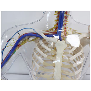 SY-N03610 इंजेक्शन मॉडल ऊपरी बांह का पता लगाने चेतावनी प्रणाली के साथ इंट्रामस्क्युलर इंजेक्शन अभ्यास सिम्युलेटर - Product Image 4