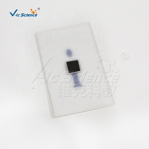Modello Genetico del Gruppo Sanguigno Umano, Ausilio Didattico per Biologia e Genetica Scolastica, Risorse Didattiche Mediche - Product Image 5