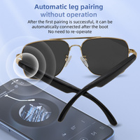Lunettes de traduction intelligentes AI Lunettes de traduction de dialogue automatique multilingue Lunettes de soleil BT Call Music Earphone