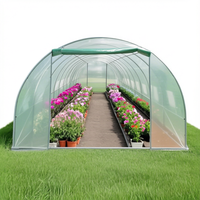 Serre tunnel hydroponique moderne en acier galvanisé avec filet PE pour jardin arrière-cour