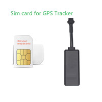 Carte SIM M2M 30 Mo de données 2G 3G 4G, carte d'itinérance M2M IOT, cartes SIM internationales pour traceur GPS