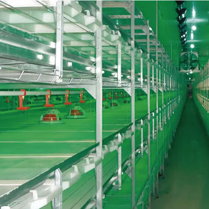 Nouveau type d'équipement de cage à œufs pour l'élevage de poulets Cages à poulets durables et robustes Spécifications et tailles sélectionnables - Product Image 3