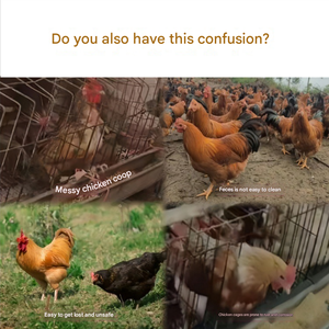 Cage pour poulets de ferme à 4 niveaux Système de cage automatique pour poulets de ferme Cage pour volaille Coq - Product Image 3